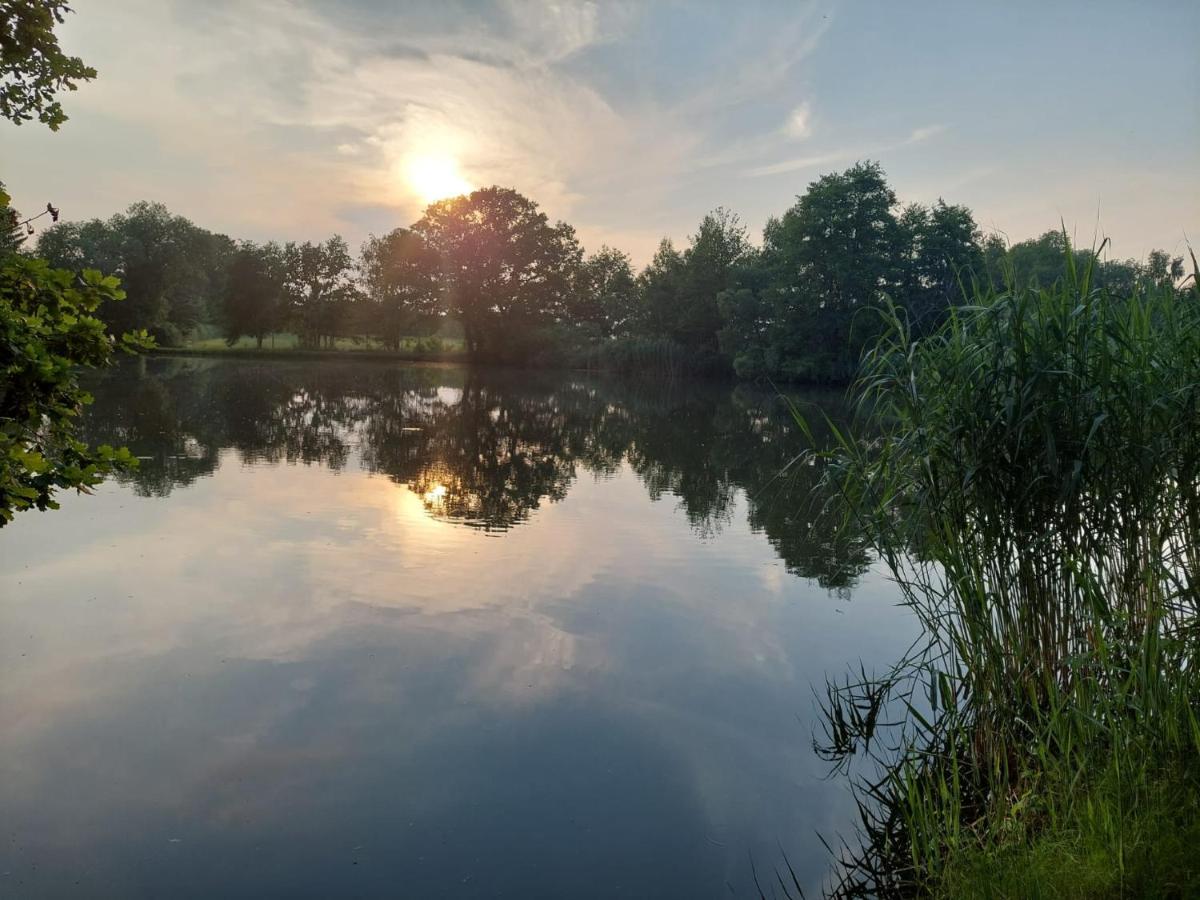 בישופסוורדה Ferienwohnung Am Buergerteich מראה חיצוני תמונה